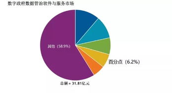 百分點躋身IDC數(shù)字政府?dāng)?shù)據(jù)管理與治理軟件和服務(wù)市場第四名，數(shù)據(jù)處理服務(wù)獲認可
